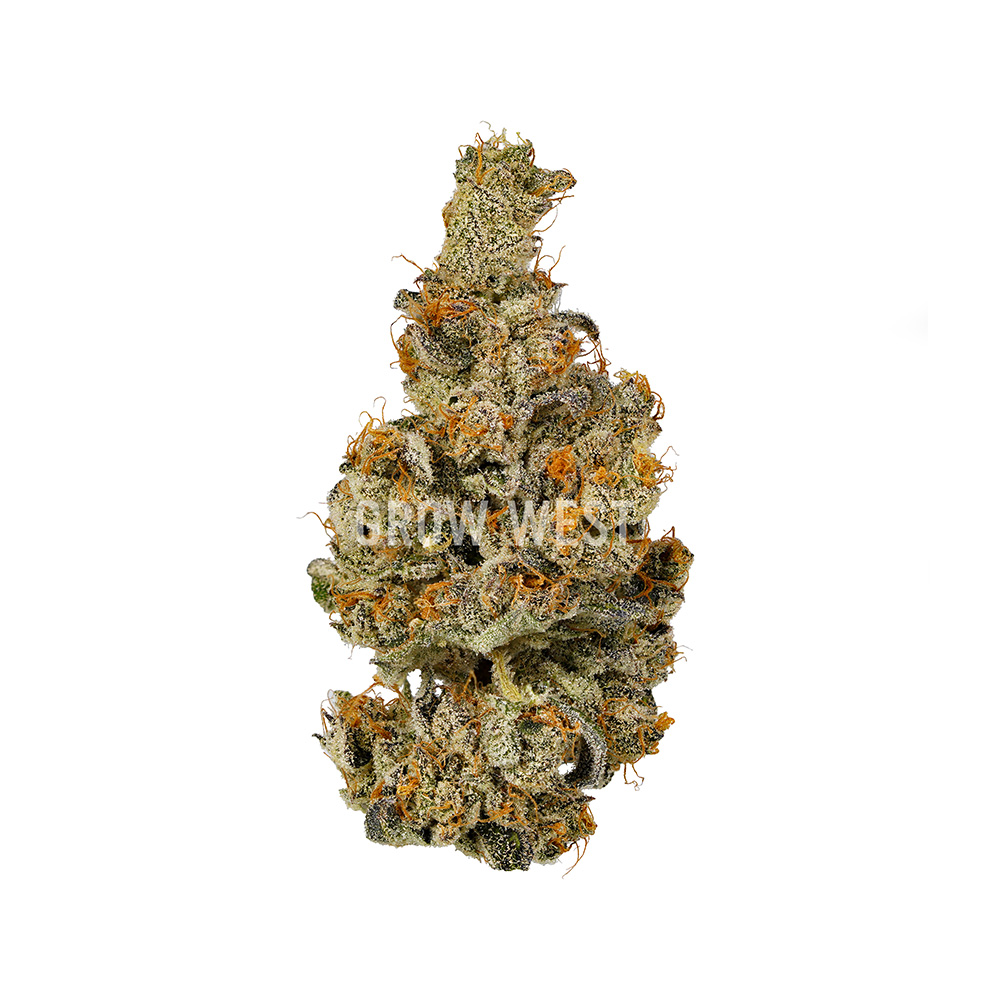 Lemondary | Premium | Hand-Trimmed Flower