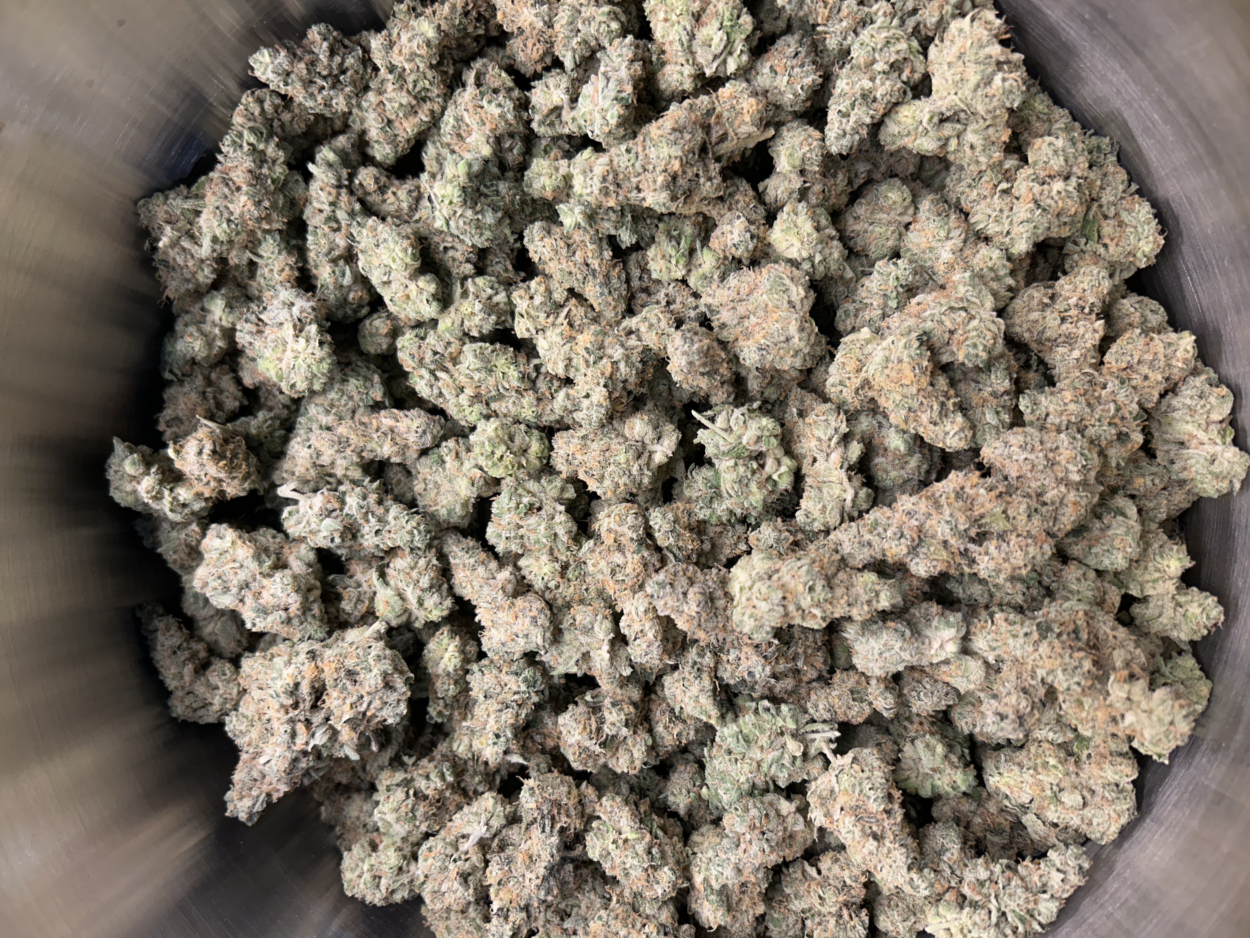 Harbor House | GMO | Buds | 2.2% Terps (1g) product photo