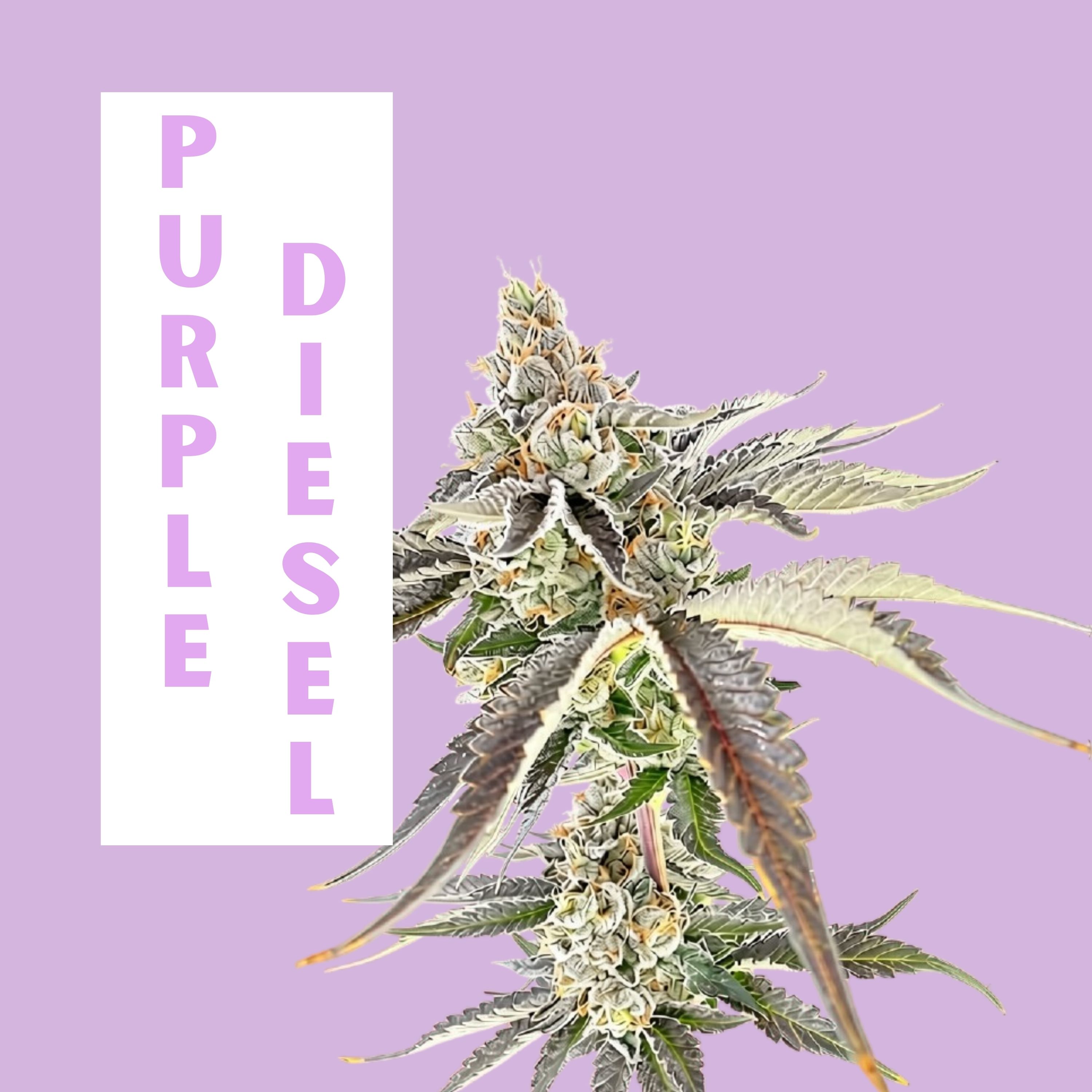 Green Lightning Purple Diesel