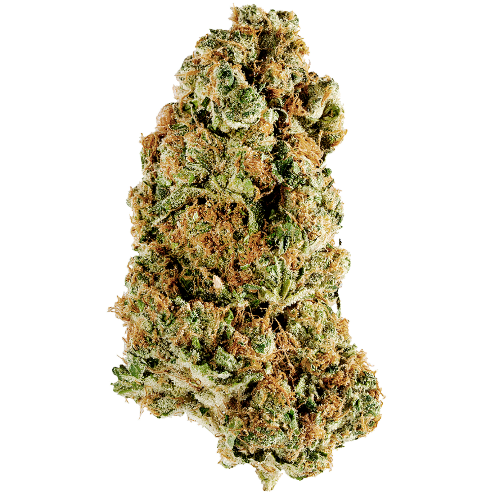 Animal Rntz l 3.5g