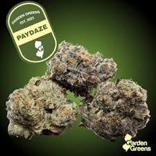 Garden Greens | Tropical Treatz | 3.5g (Sativa)