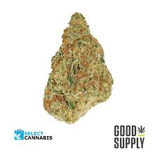 Good Supply - Blueberry Donuts Flower - Indica