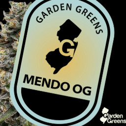 Garden Greens | Mendo OG 3.