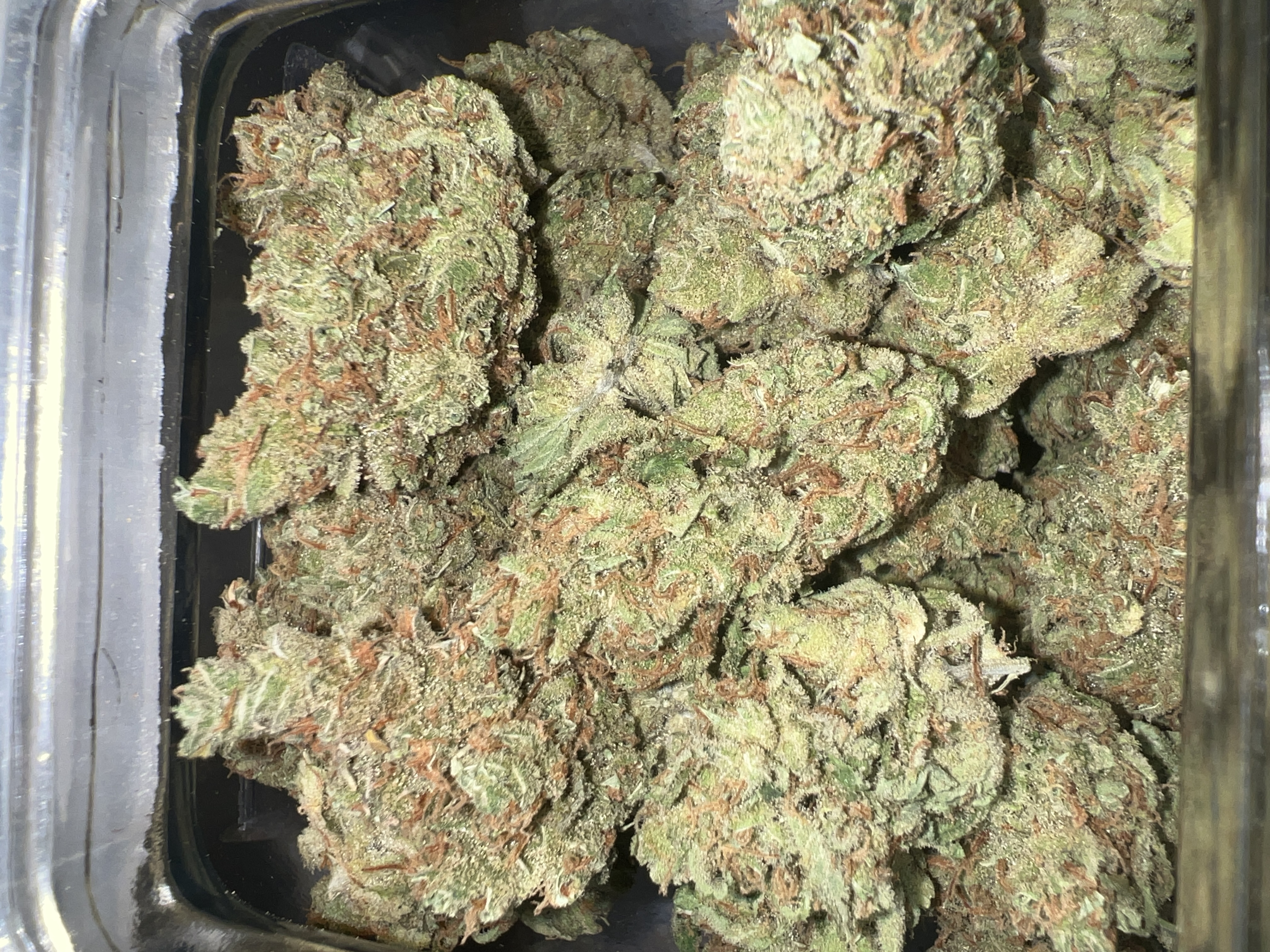 Pacific Grove - SUPER SILVER HAZE (s) - Top Shelf $280/oz