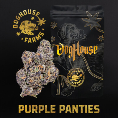 Dog House | Bulk Flower | Purple Panties