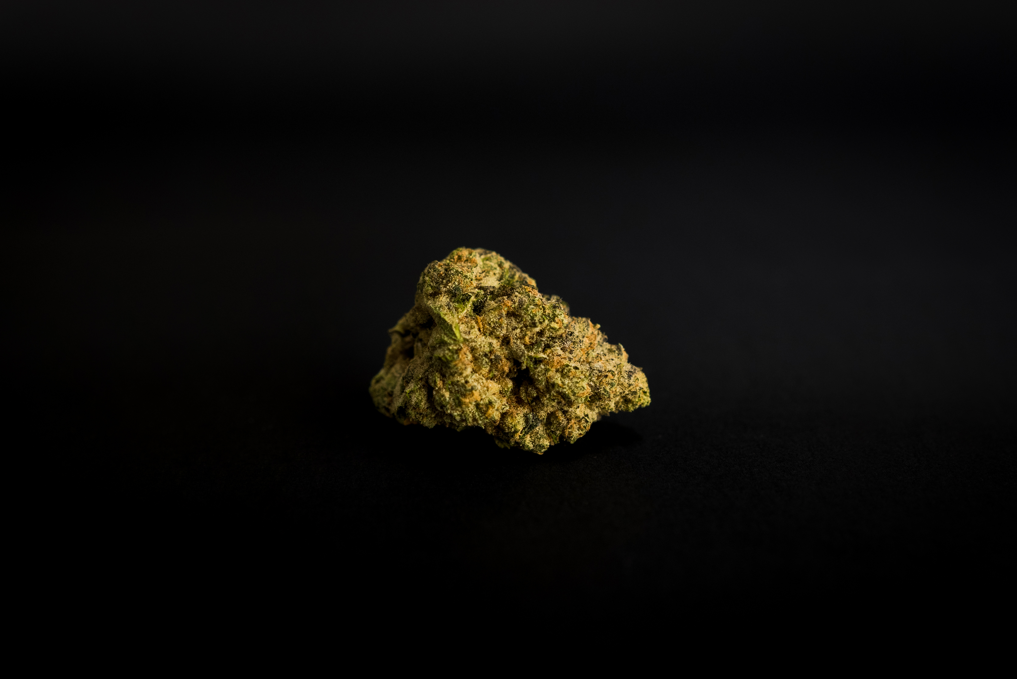 Intergalactic | 14g Flower