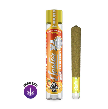 Mango Sherbet XL Infused Pre-Roll | 2g