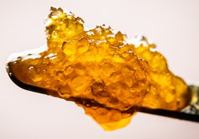 2023: Lemon Strudel Ambrosia
