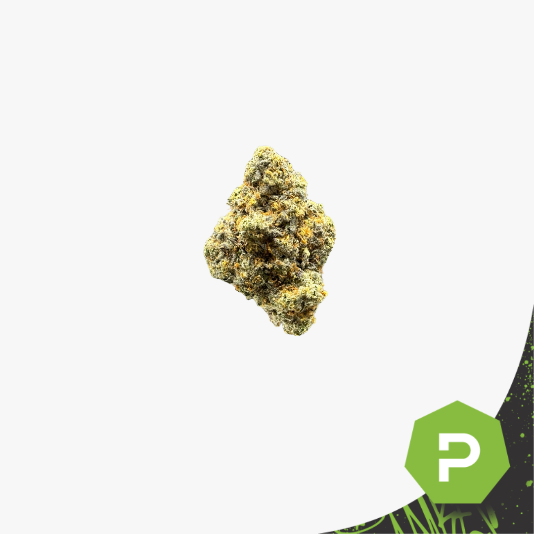Cloverdale Gardens | S.R.T.