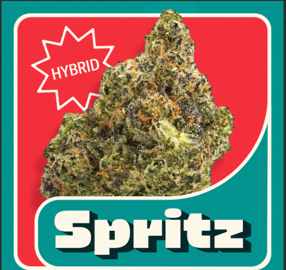 Spritz | H