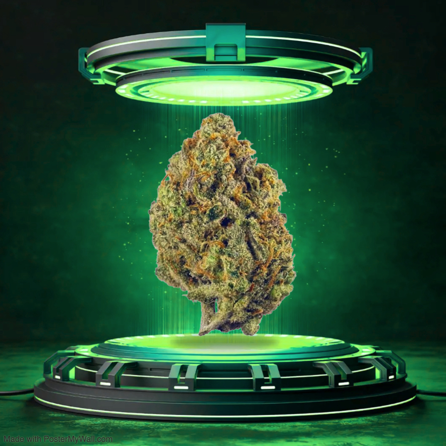 Super Lemon Haze - Flower