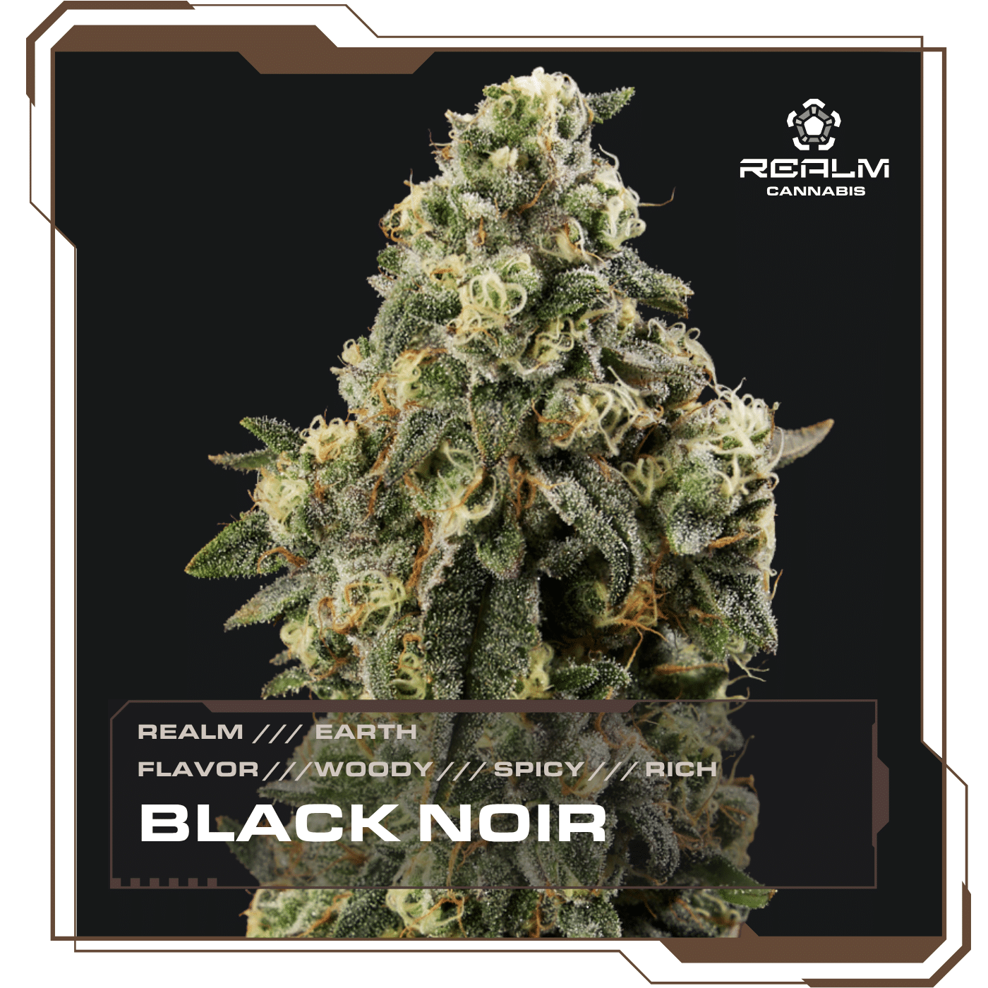Black Noir Earth