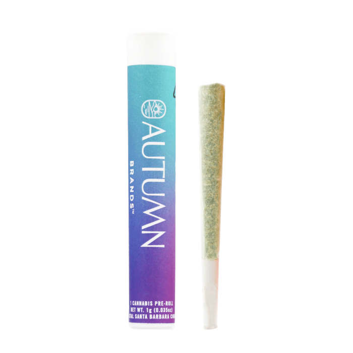 AUTUMN BRANDS | PURPLE CARBONITE 1G PREROLL