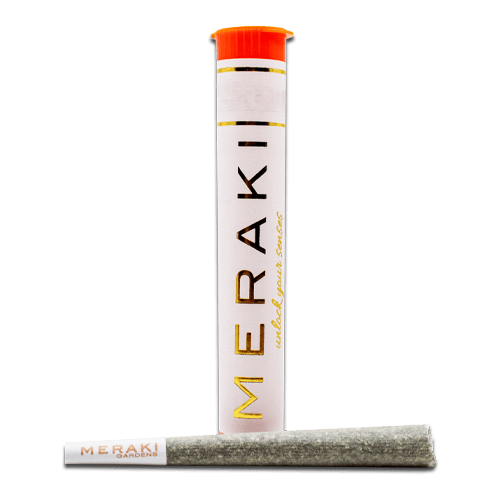 Meraki Pre-Roll - Sneeze