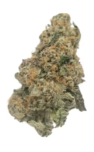 Robusta #4 | Flower |