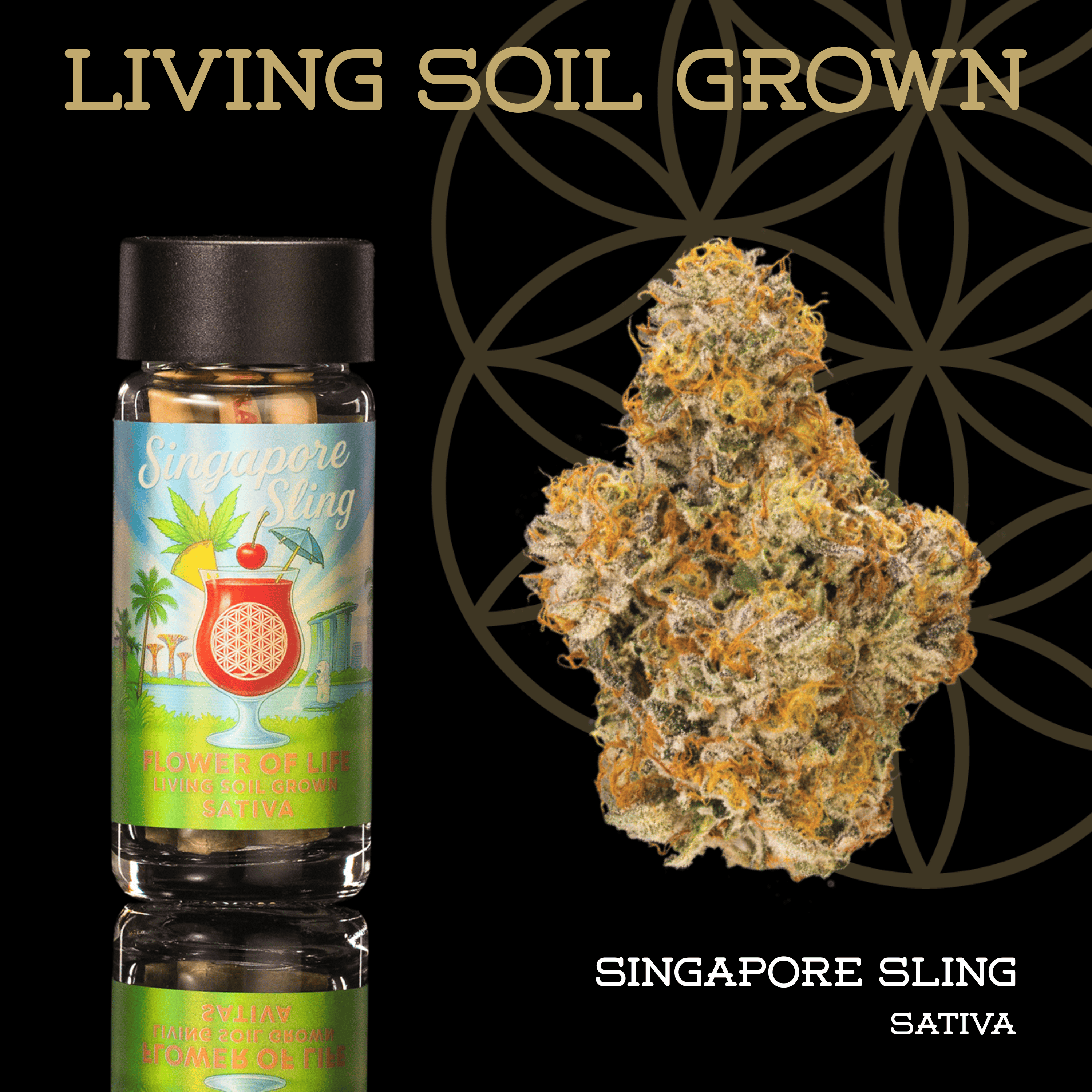 Flower of Life Singapore Sling Pre-Roll 5pk 2.5g