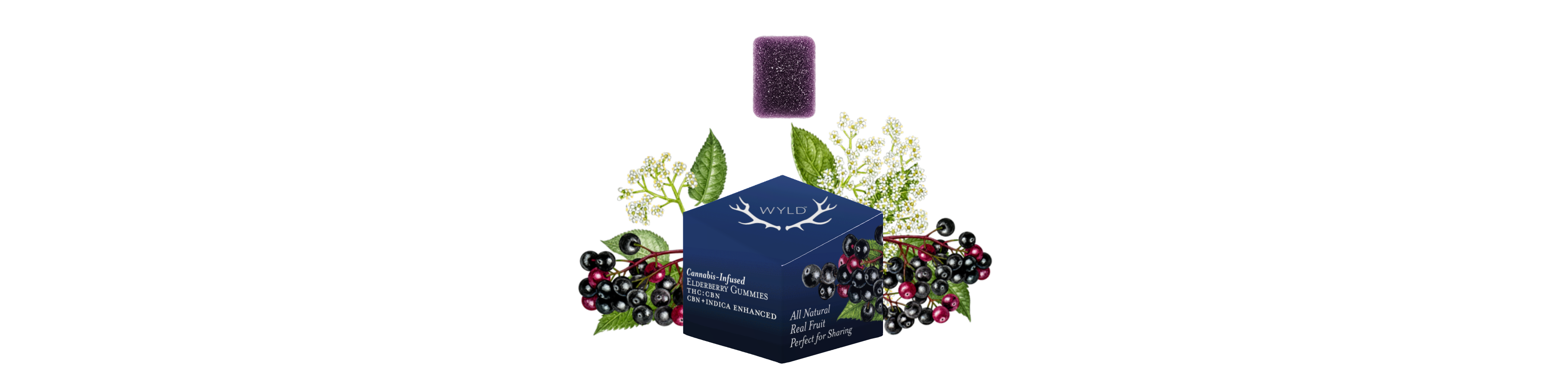 Elderberry