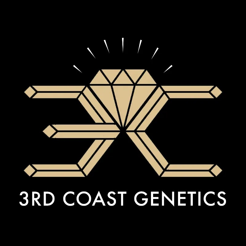 3rd Coast Genetics Flower- The Dark Side