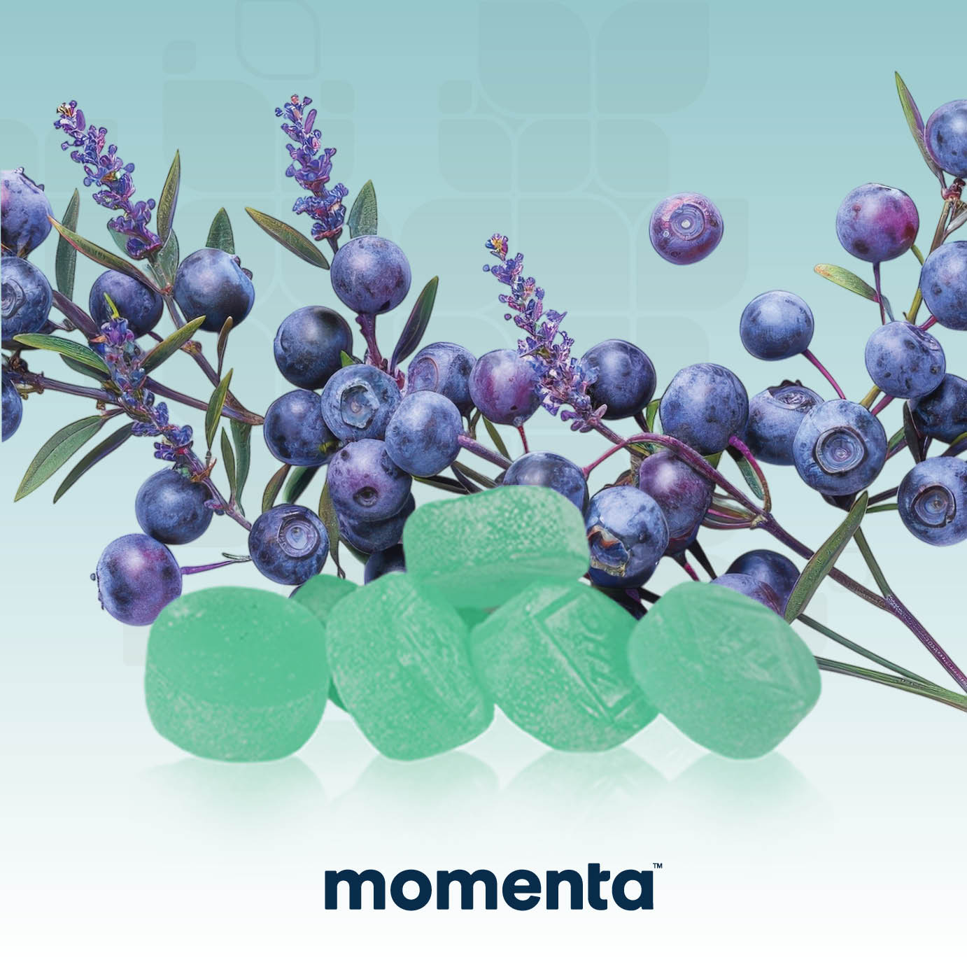 Blueberry Lavender Troches Thc Cbn