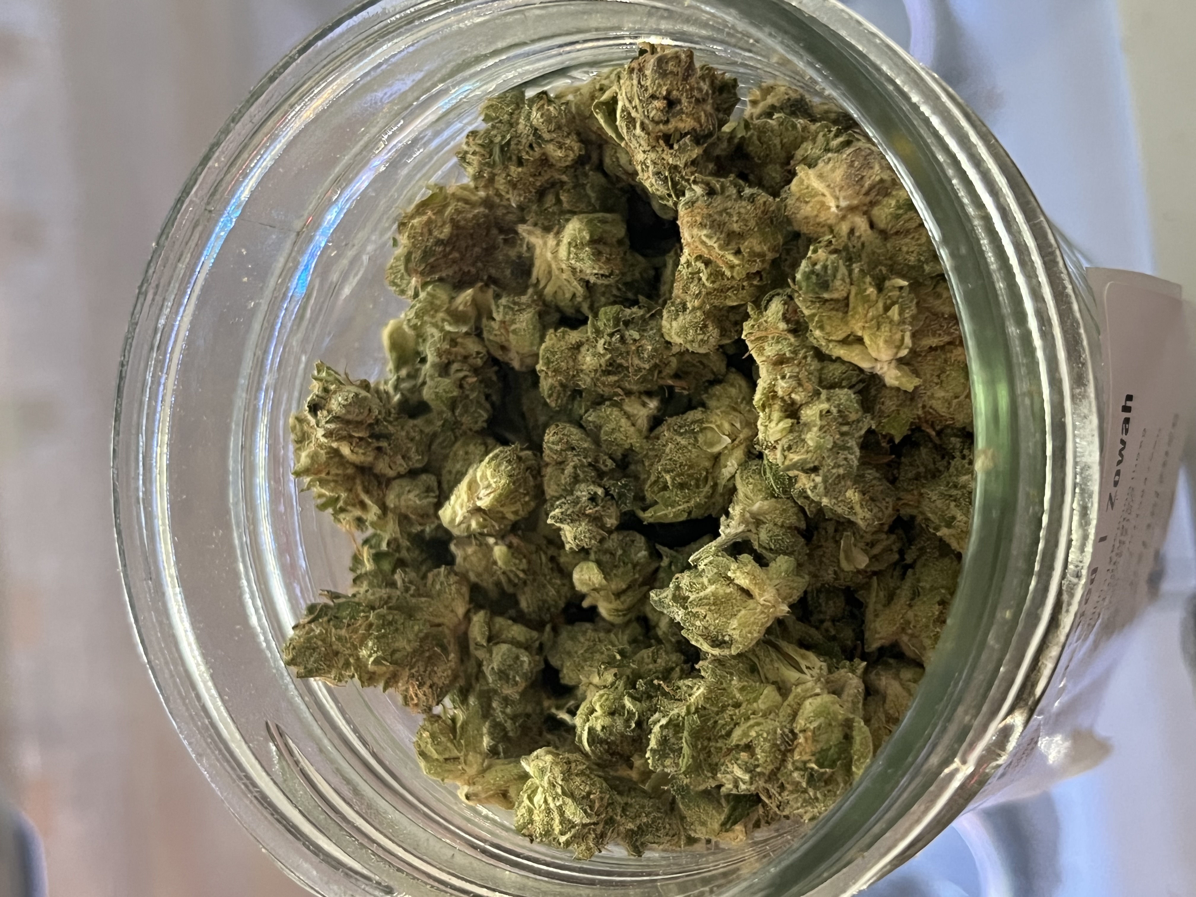 Highly Cultivated: Zowah - B-Buds - 1/8oz