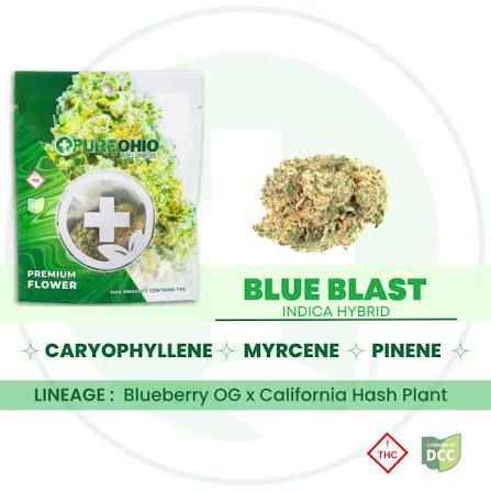 Blue Blast