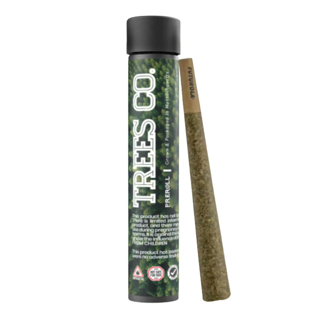 Socrates Sour (H) - Pre-Roll (1g) - Trees Co