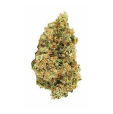 Strawberry Gorilla