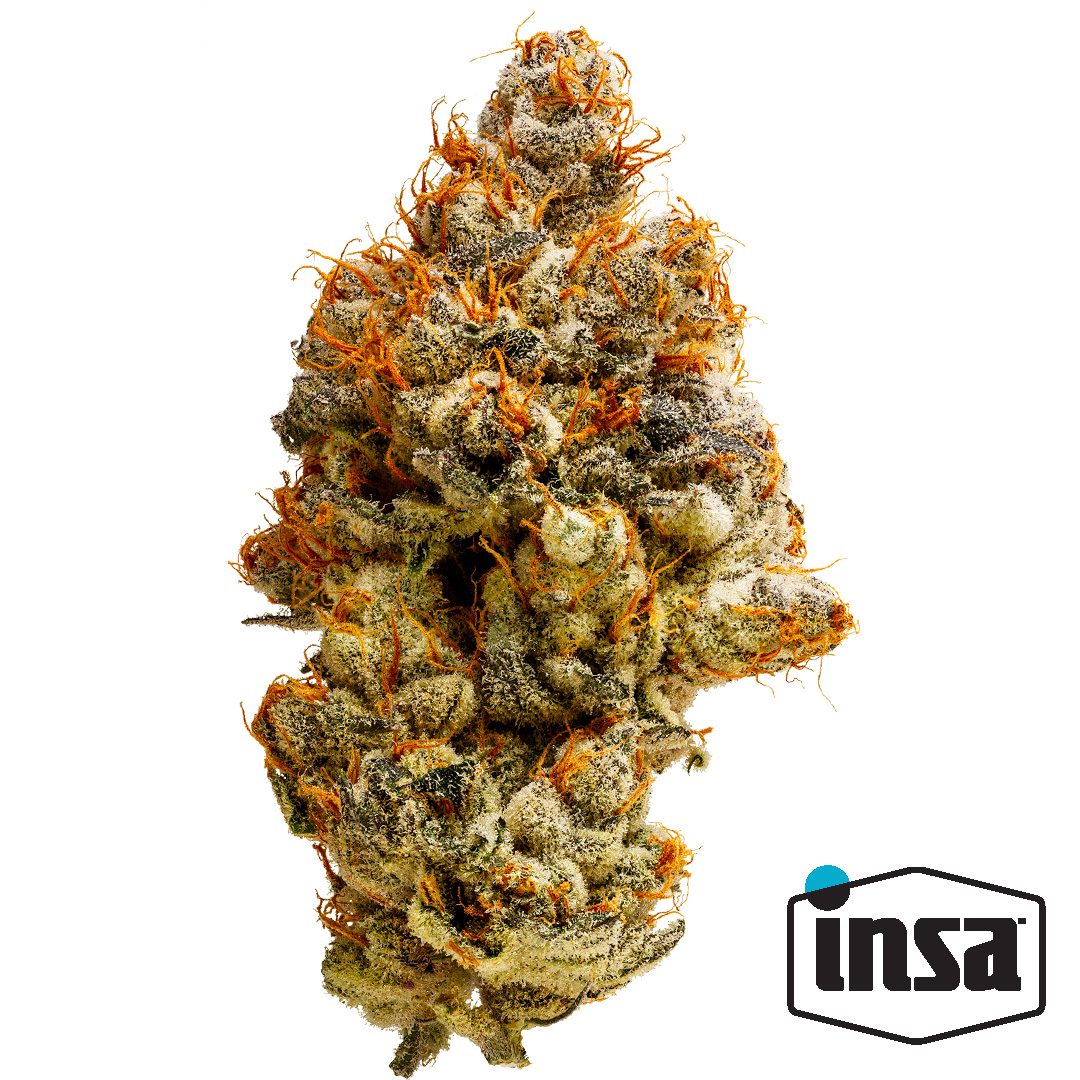 Lemon Gary Premium Flower 3.5g
