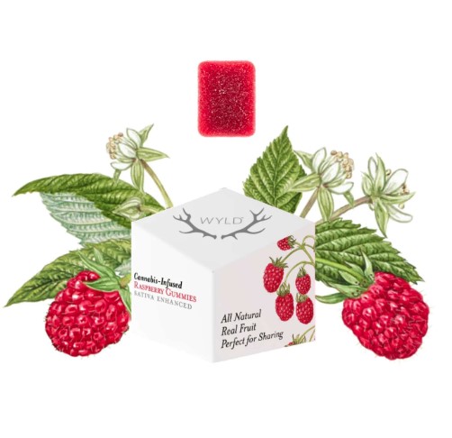 Raspberry