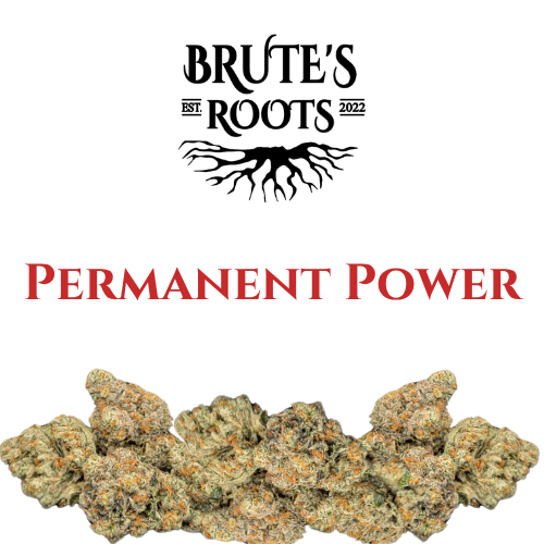Flower Smalls - Permanent Power  |  MED