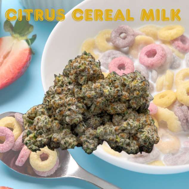 Citrus Cereal Milk | 3.5g | Flower