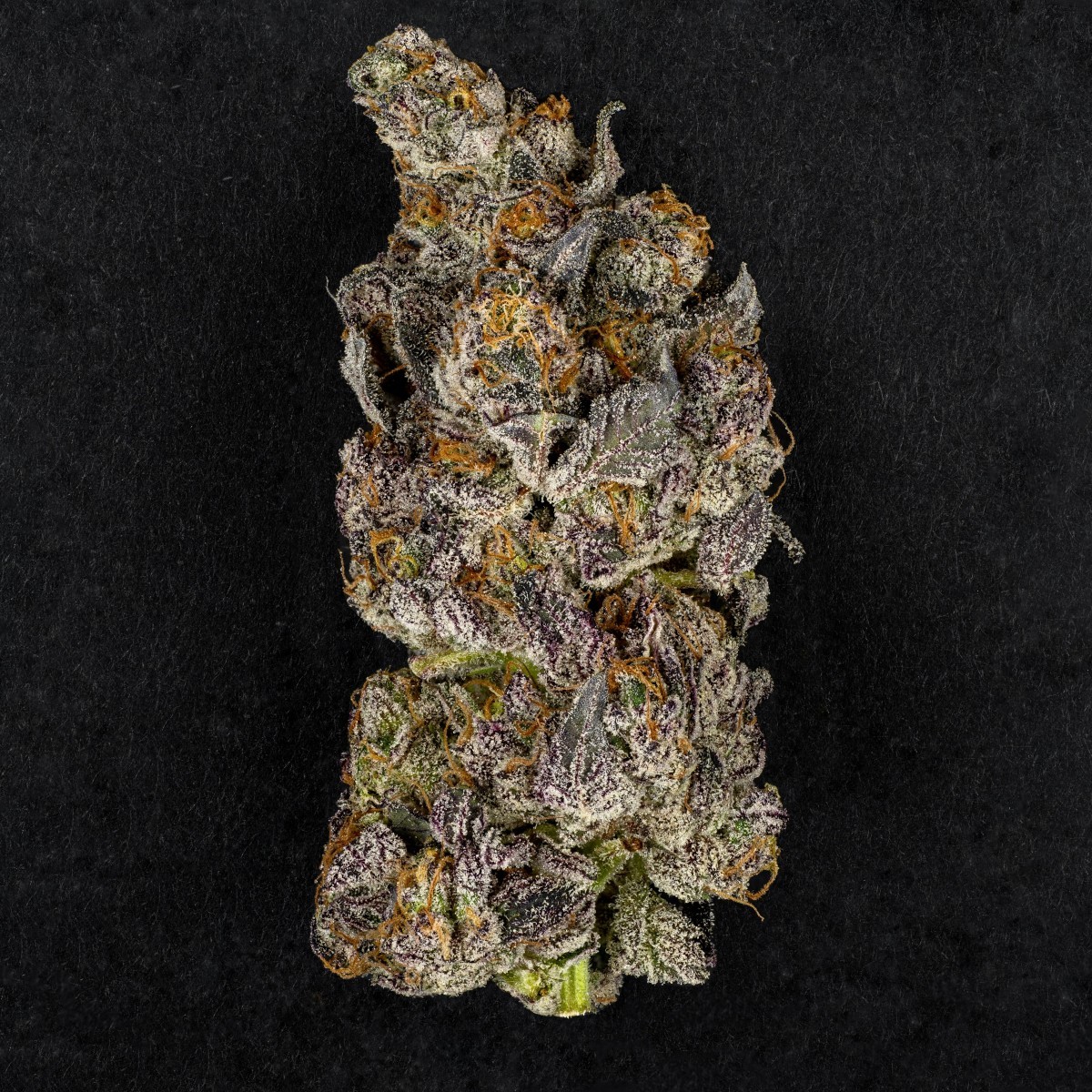 Kush Mints | Flower | 3.5g
