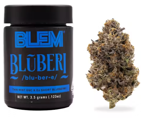 BLEM Bluberi Hybrid