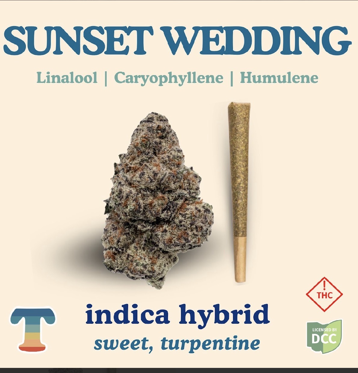 Sunset Wedding
