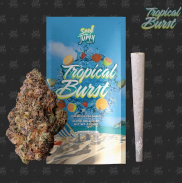 Tropical Burst Pre-Roll