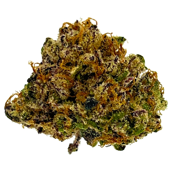 Sungrown | Apple Pie | Bulk Flower