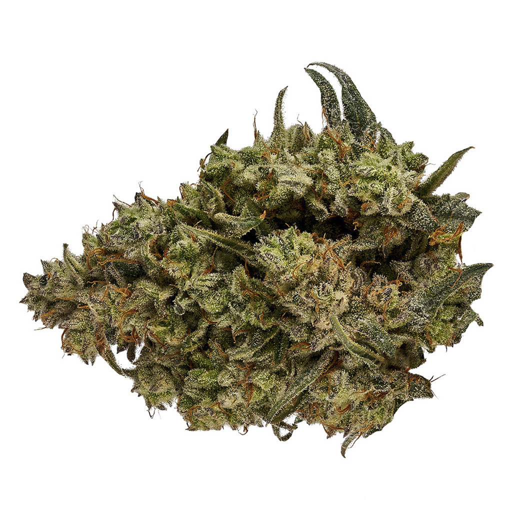 Orchid CBD - CBD Runtz - 3.5g