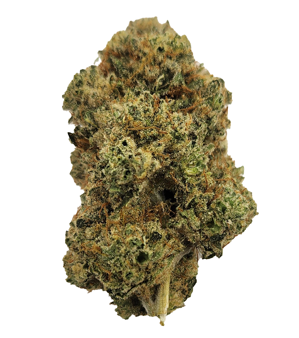 Rainbow Beltz Flower