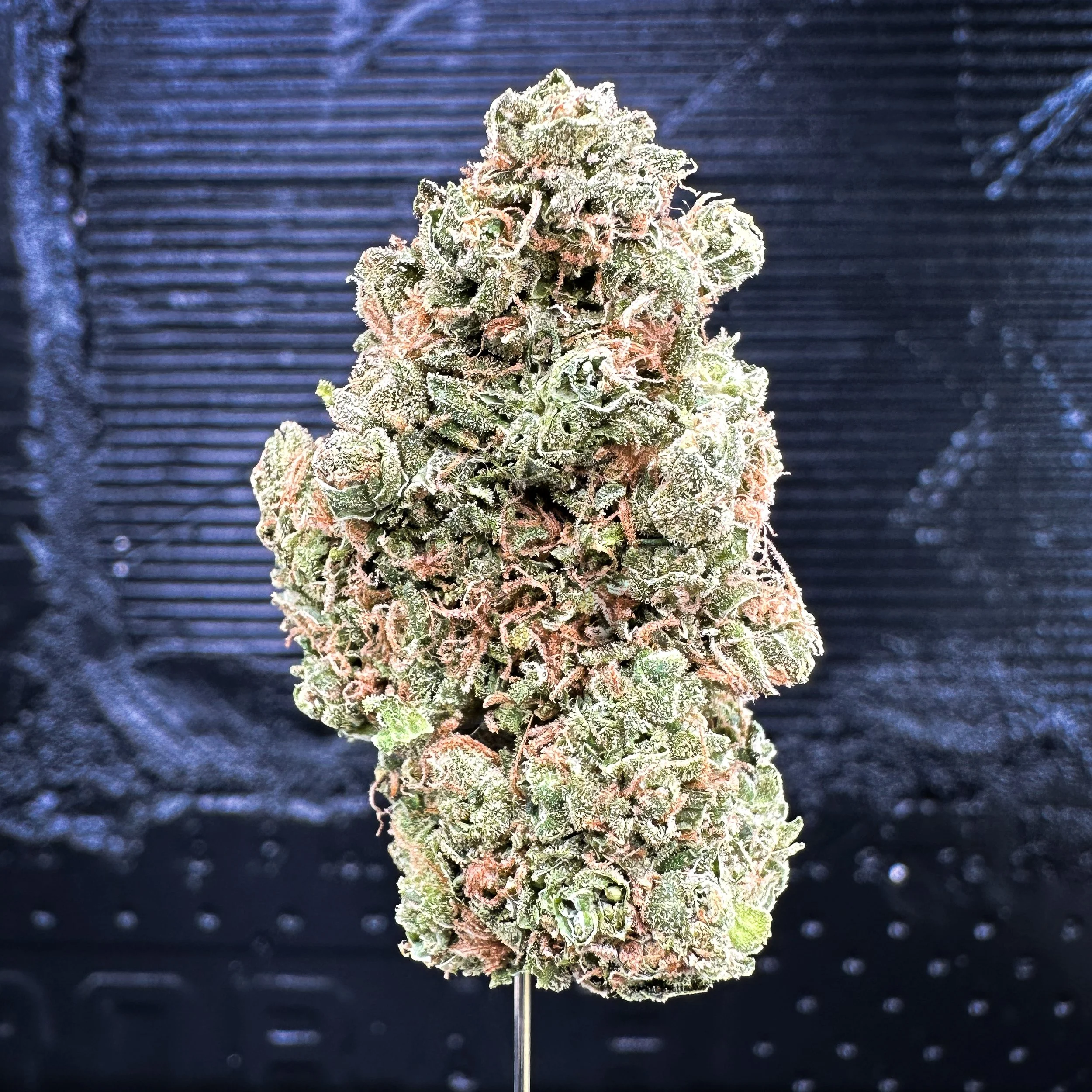 Strawberry Chocolate