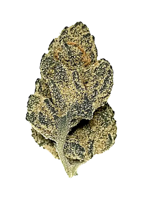 Legacy | White Beltz | Flower | 3.5g