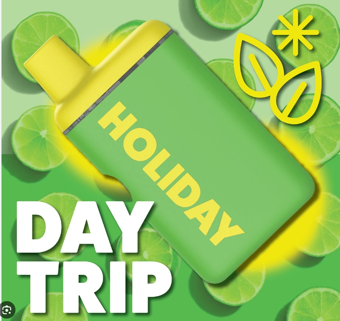 Holiday - Day Trip - Disposable Vape - 1g