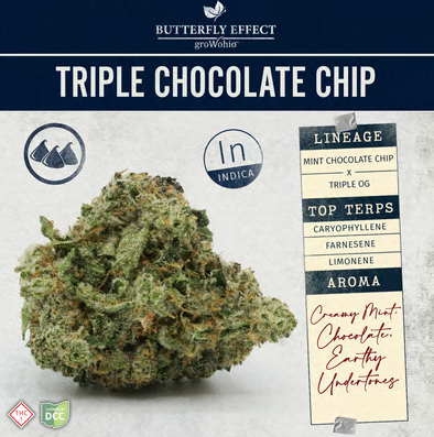 Butterfly Effect | Triple Chocolate Chip | 14.15g Budlets