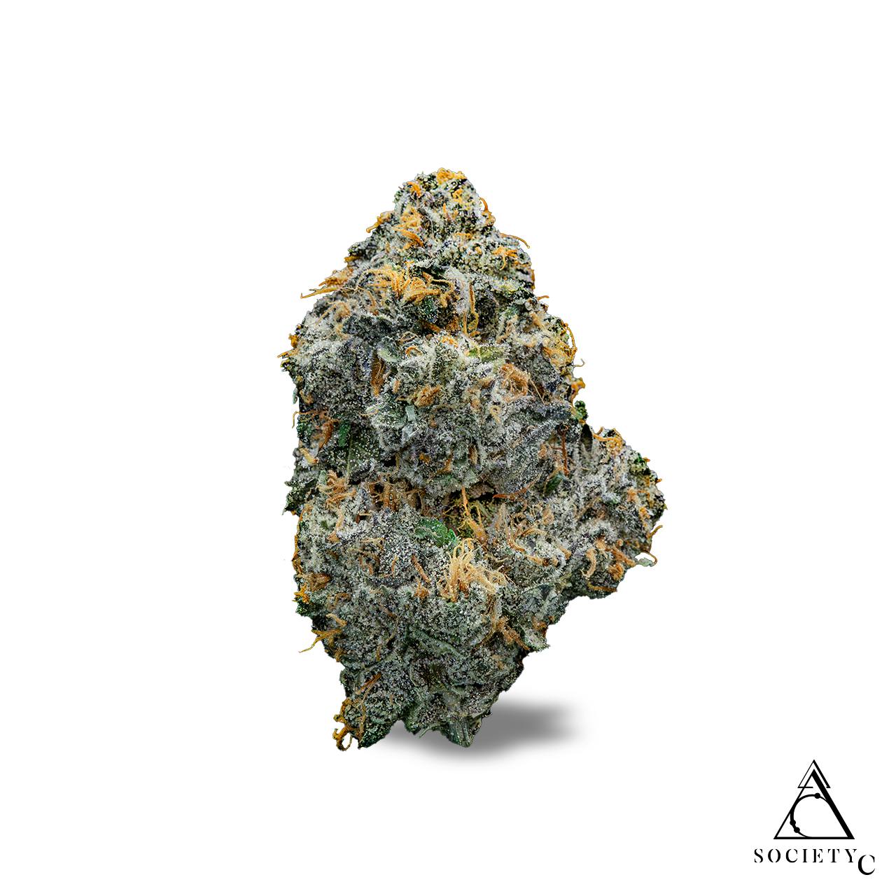 Society C | Gastro Pop | Bulk Flower