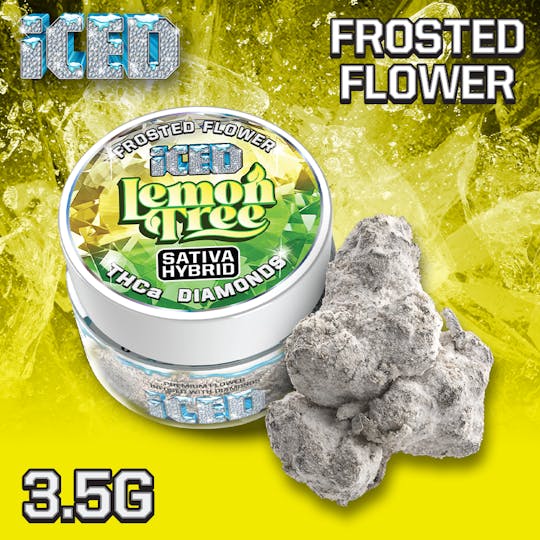 Iced - Lemon Tree Infused | Eighths