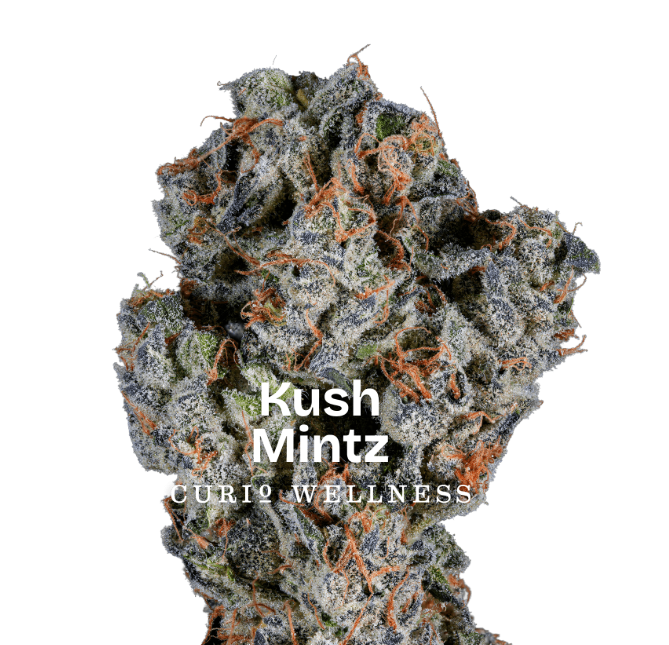 CURIO Joint 1g: Kush Mintz 2pk