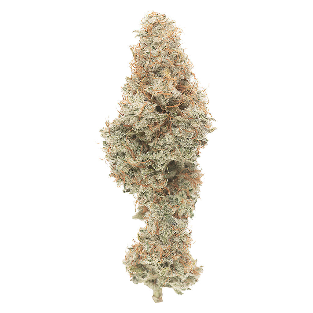 GOOD BUDS - Mango Cake Dry Flower - Sativa - 1.72% TERPS!!!