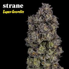 Strane | Bulk Flower | Super Gremlin