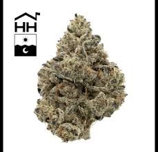 Garlic Drip | 3.5g