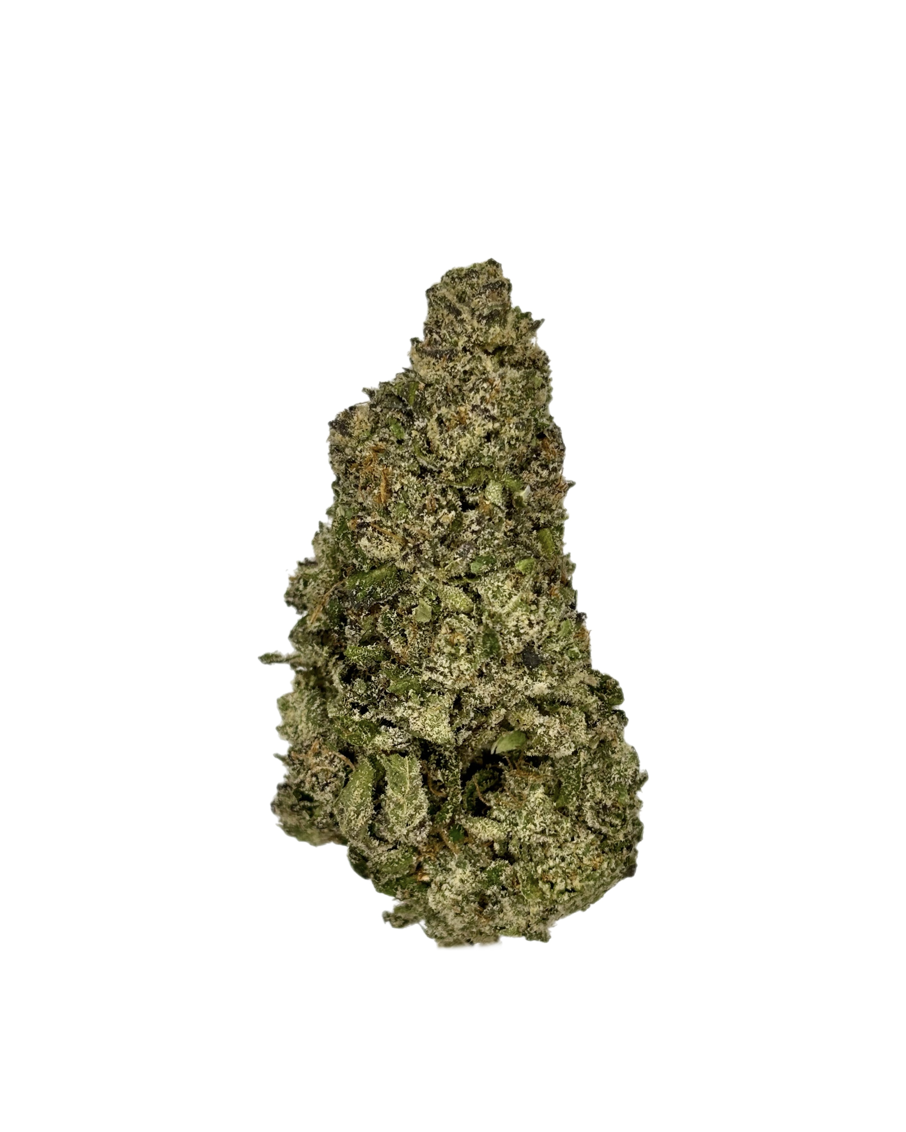 Cream Pie Bulk Flower Platinum