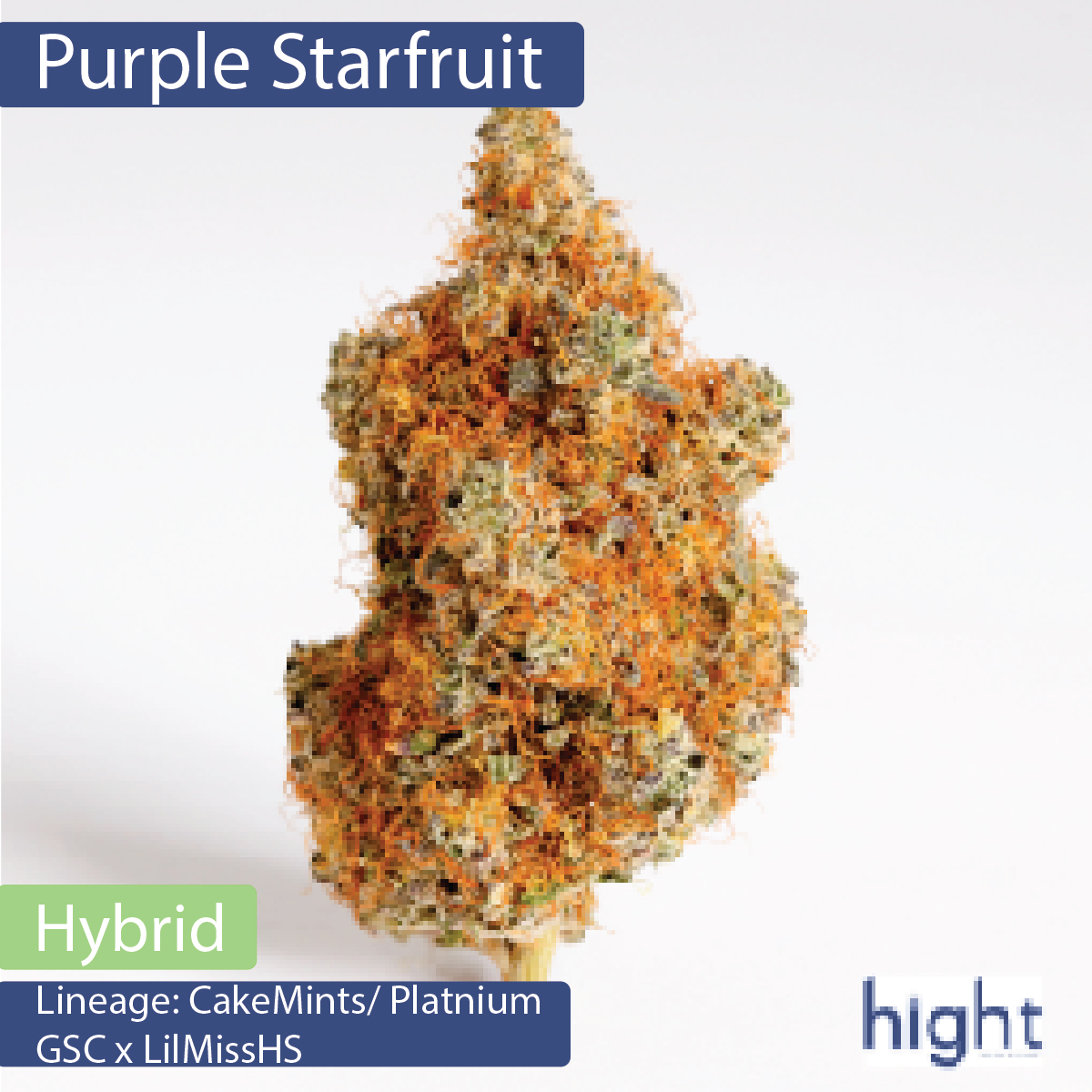 Hight Premium Cannabis | Purple Starfruit (Hybrid)